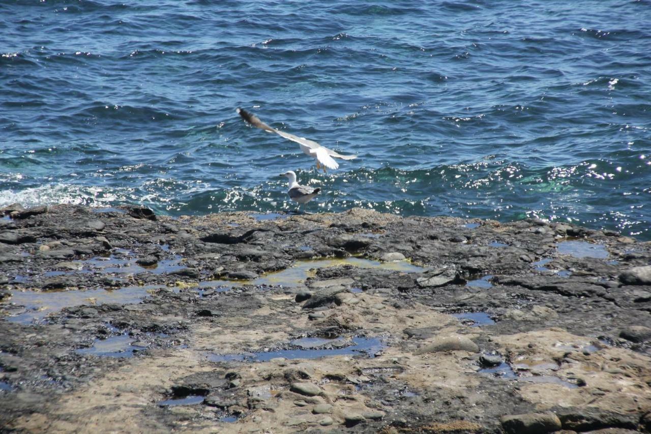 Seagull Estudios Pozo Izquierdo Exterior photo